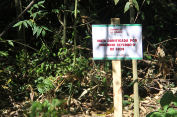 Foto - CAMINHADA NA NATUREZA 2025 - 3