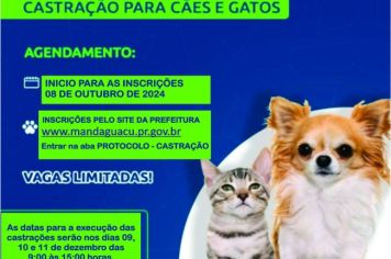 CASTRAÇÃO