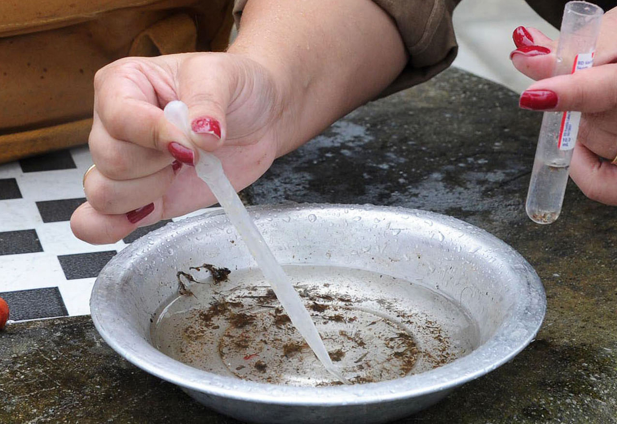 Mandaguaçu adota lei para acessar imóveis fechados e combater dengue  