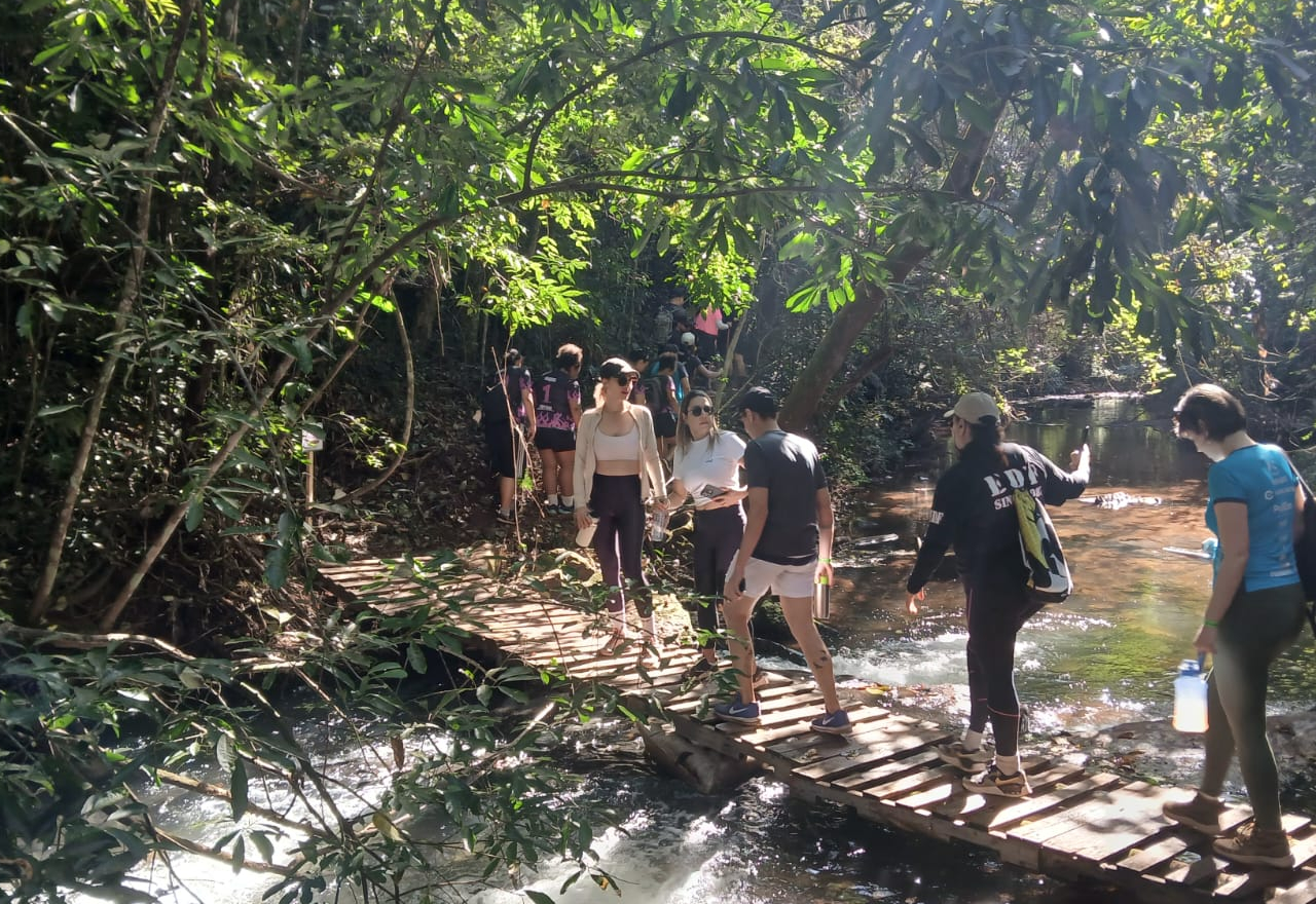 Caminhada na Natureza em Mandaguaçu reuniu mais de 1,2 mil participantes