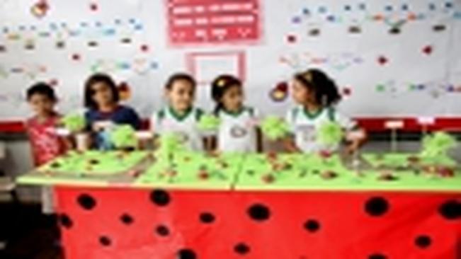 V Feira Cultural da Escola Municipal Gilson Belani