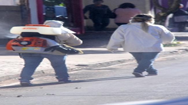 Combate à dengue em Mandaguaçu